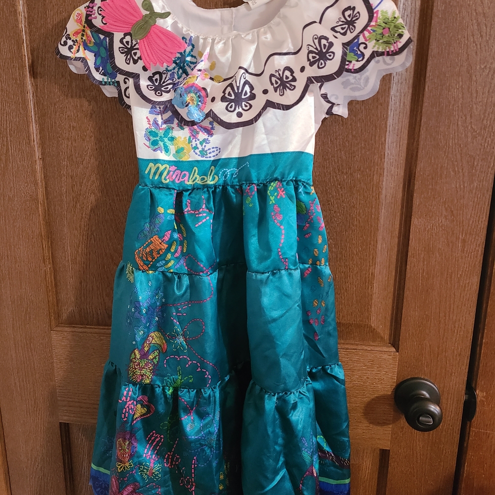 Disney Floral Teal and White Kids Costume